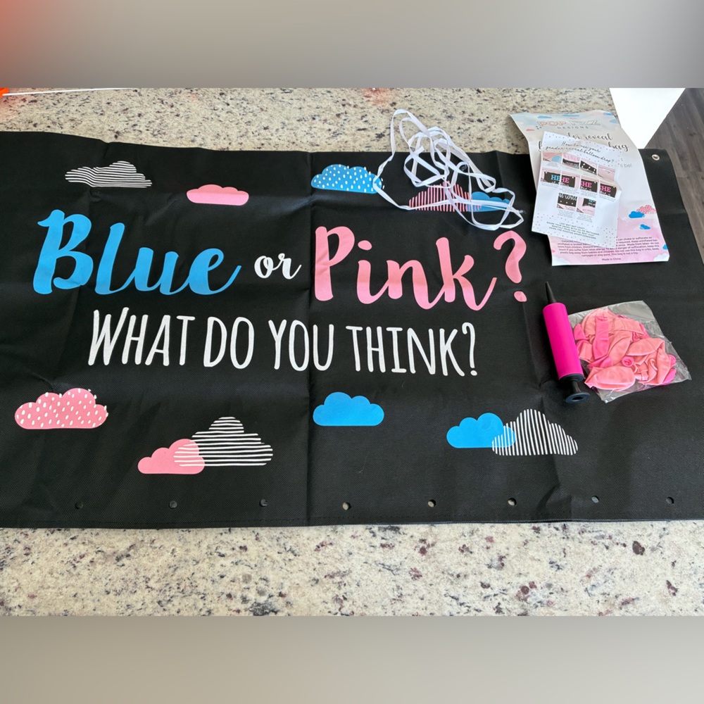 Gender Reveal Party Banner - Blue and Pink